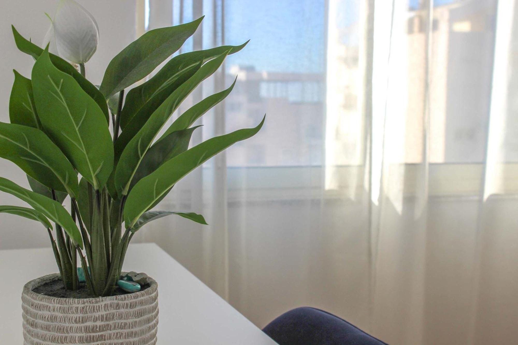 Apartamento Harmony 591